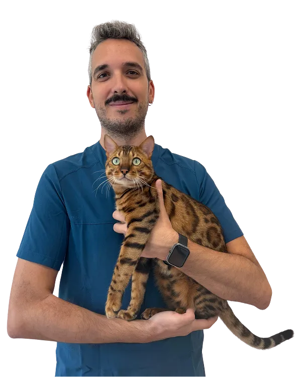 jesus-cascos-veterinario